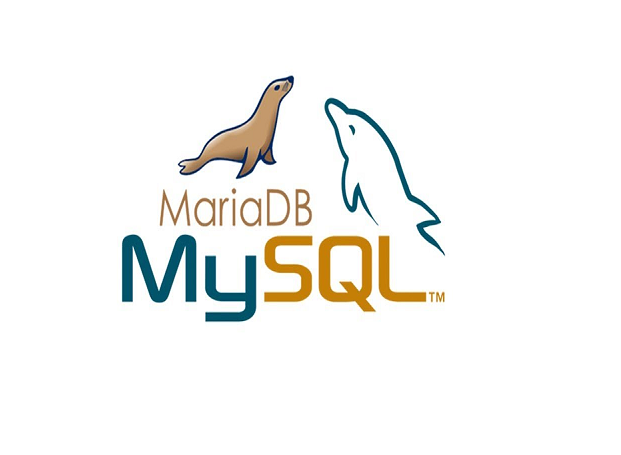 Maria DB MySQL